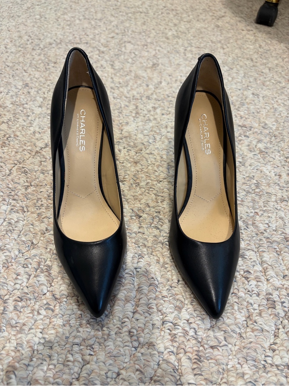 Charles by Charles David Sleek Black Pointed Toe Pumps